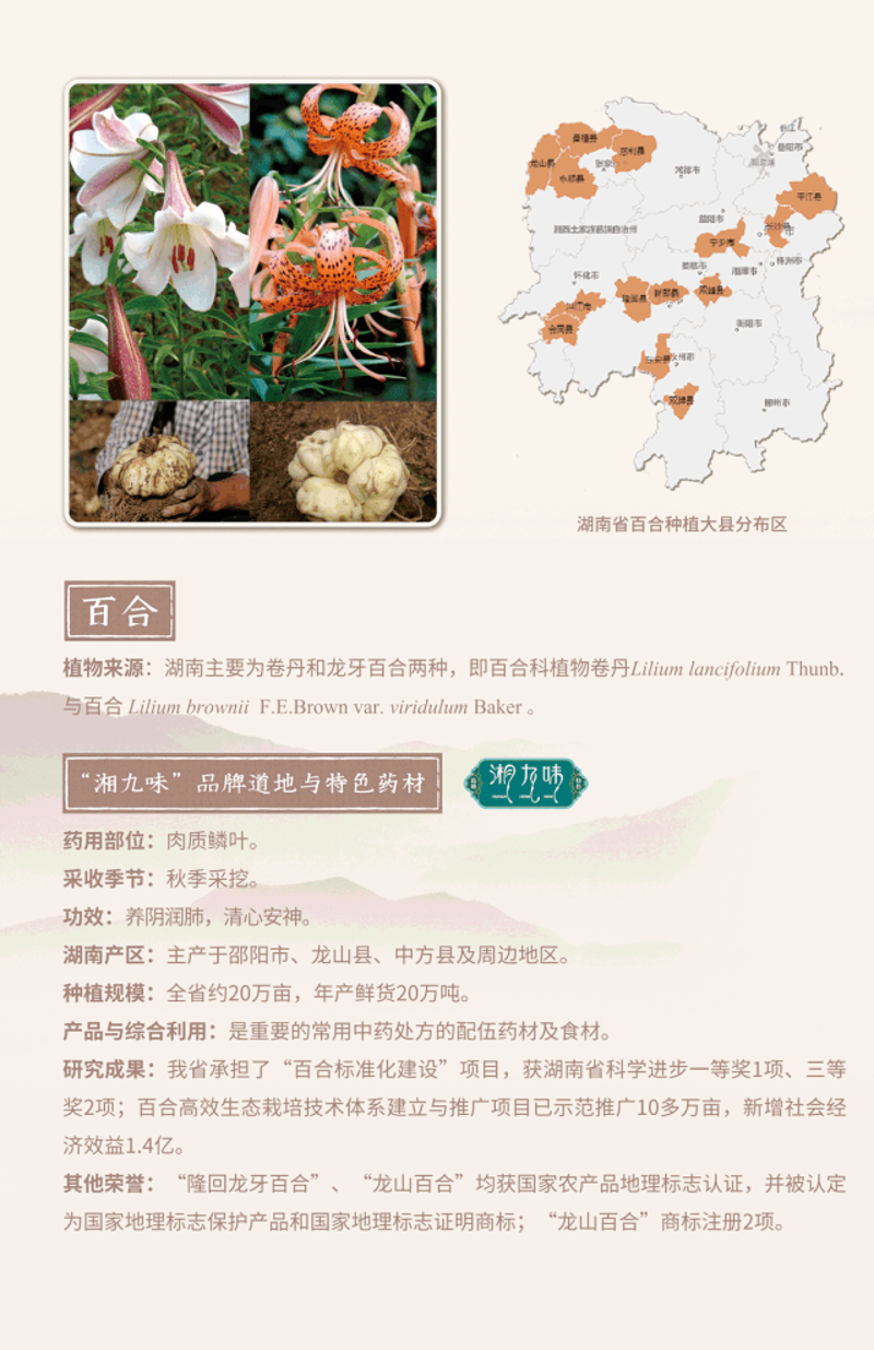寻找优质的中草药批发渠道