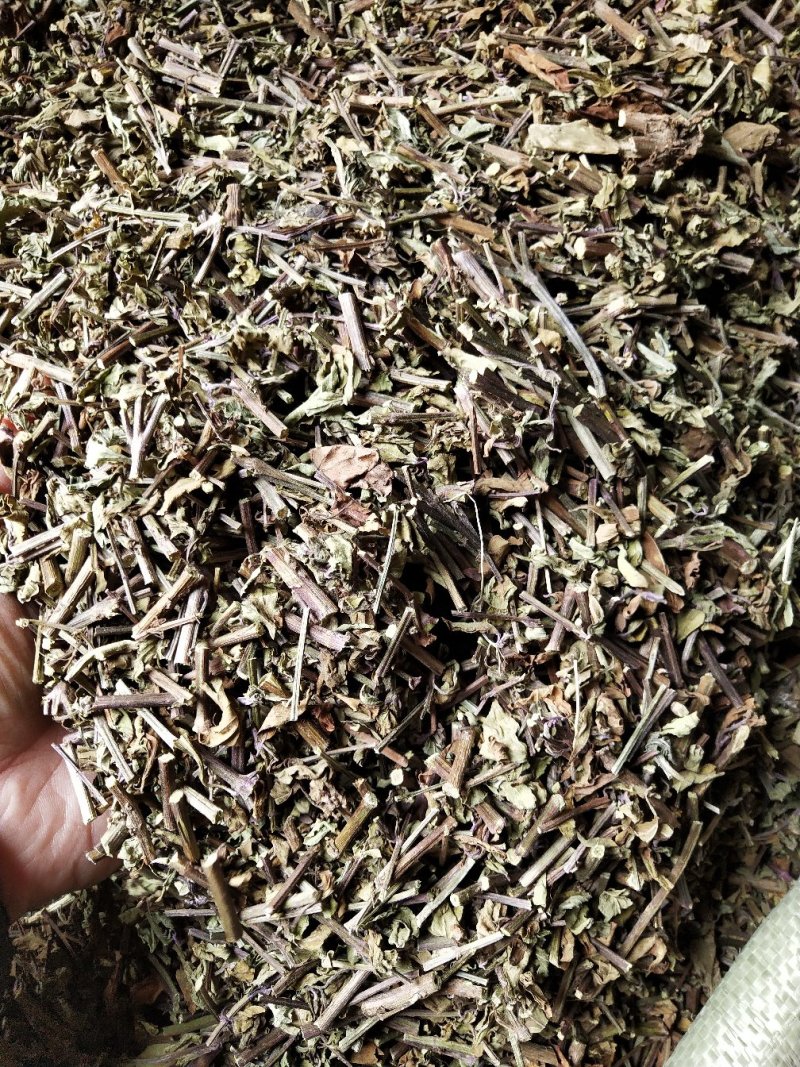 中草药科普：自然之宝的神奇奥秘