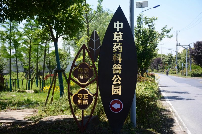 中草药，在自然中探寻生命的奥秘