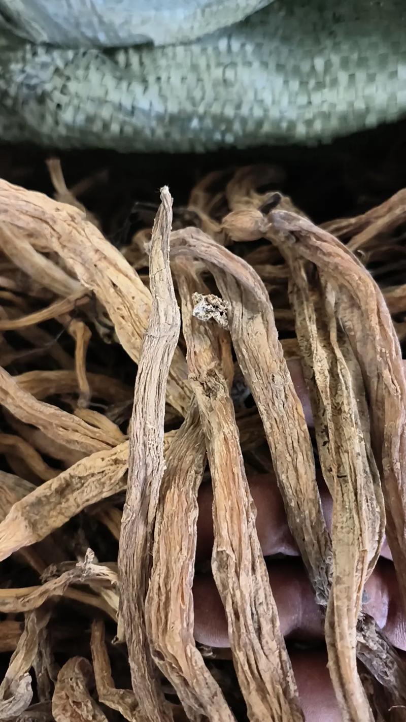 探寻中草药的自然奥秘